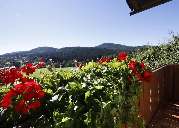 Schuasterhof بيت ضيافة